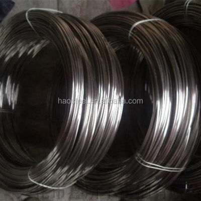 Fio de Aço Inoxidável 304 316 316L 316Ti 309s 310S Brilhante Macio Fosco 0.05-20mm