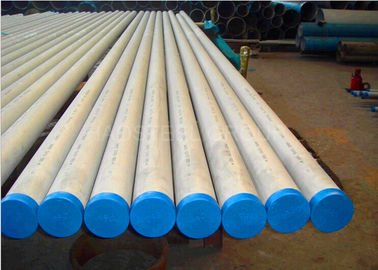 Tubulação de aço inoxidável laminada/laminada a alta temperatura OD 6mm - 1175mm ISO9001